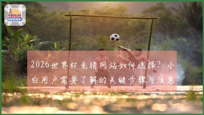 2026世界杯竞猜网站如何选择？小白用户需要了解的关键步骤与注意事项