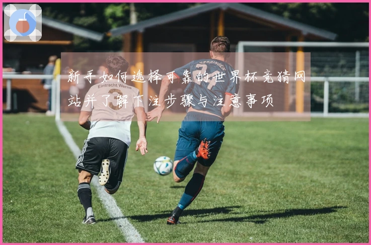 新手如何选择可靠的世界杯竞猜网站并了解下注步骤与注意事项