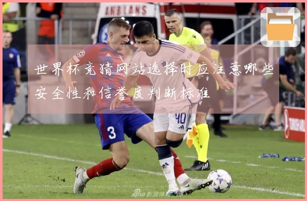 世界杯竞猜网站选择时应注意哪些安全性和信誉度判断标准