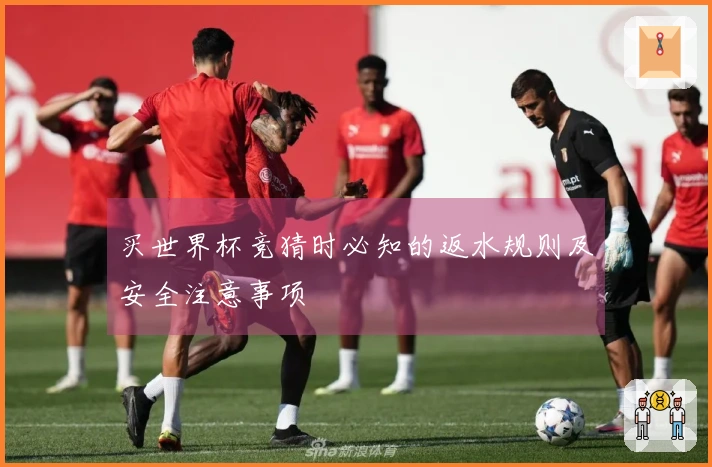 买世界杯竞猜时必知的返水规则及安全注意事项