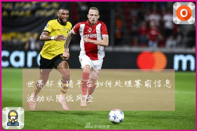 世界杯竞猜平台如何处理赛前信息波动以降低风险