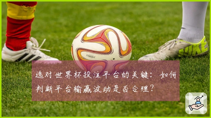 选对世界杯投注平台的关键：如何判断平台输赢波动是否合理？