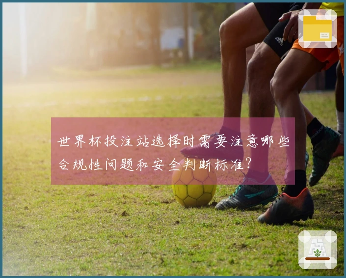 世界杯投注站选择时需要注意哪些合规性问题和安全判断标准？