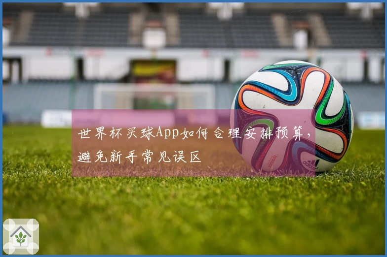 世界杯买球App如何合理安排预算，避免新手常见误区