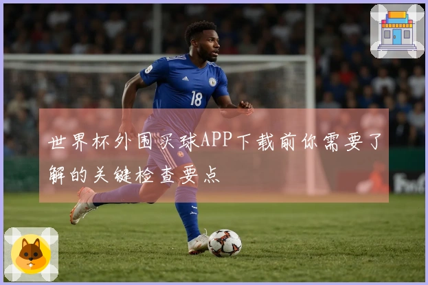 世界杯外围买球APP下载前你需要了解的关键检查要点