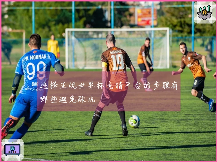 选择正规世界杯竞猜平台的步骤有哪些避免踩坑
