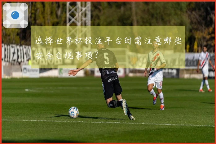 选择世界杯投注平台时需注意哪些安全合规事项？