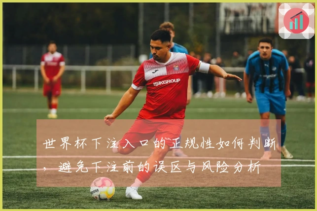 世界杯下注入口的正规性如何判断，避免下注前的误区与风险分析