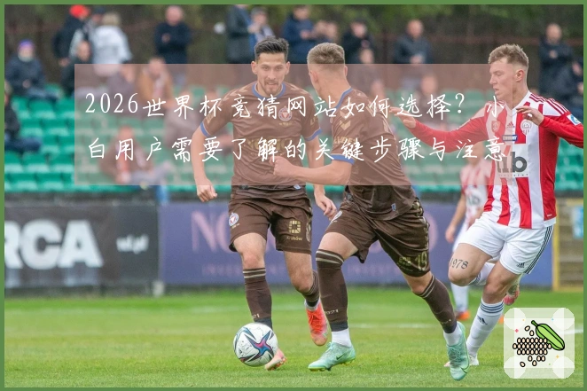 2026世界杯竞猜网站如何选择？小白用户需要了解的关键步骤与注意事项