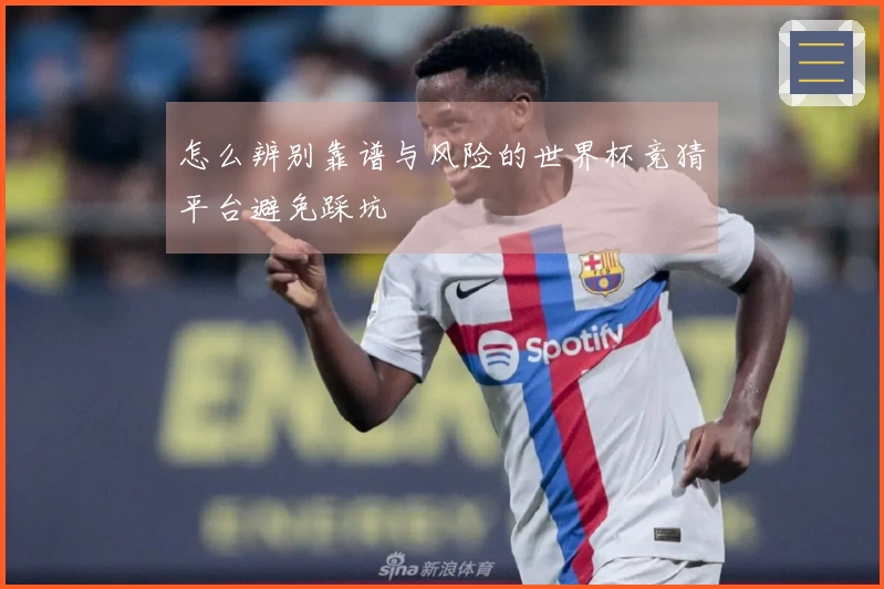 怎么辨别靠谱与风险的世界杯竞猜平台避免踩坑
