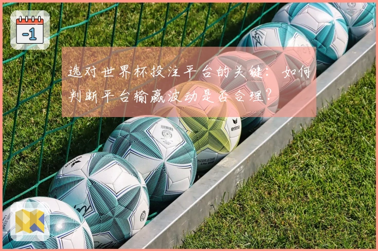 选对世界杯投注平台的关键：如何判断平台输赢波动是否合理？