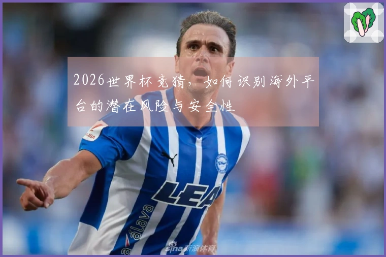 2026世界杯竞猜，如何识别海外平台的潜在风险与安全性