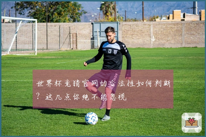世界杯竞猜官网的合法性如何判断？这几点你绝不能忽视