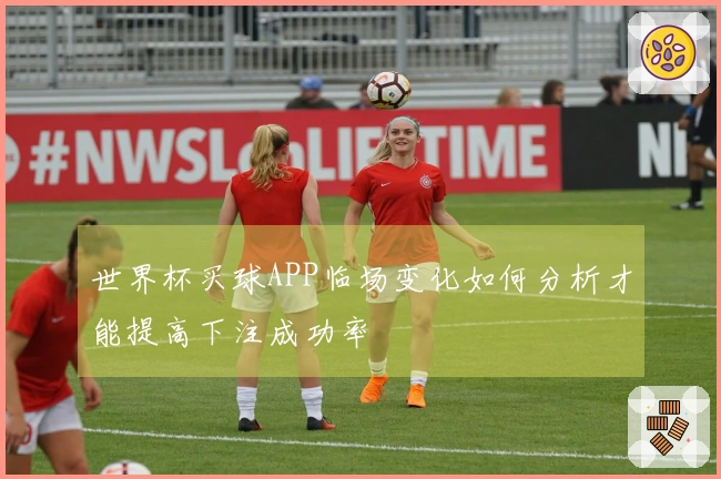 世界杯买球APP临场变化如何分析才能提高下注成功率