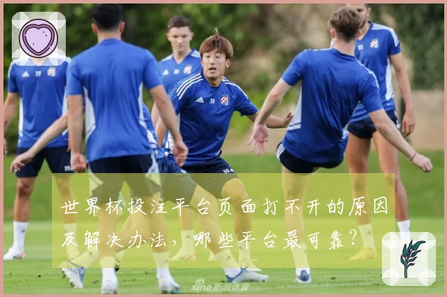 世界杯投注平台页面打不开的原因及解决办法，哪些平台最可靠？
