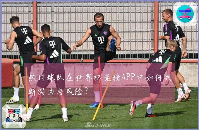热门球队在世界杯竞猜APP中如何判断实力与风险？