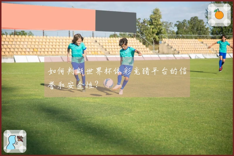 如何判断世界杯体彩竞猜平台的信誉和安全性？