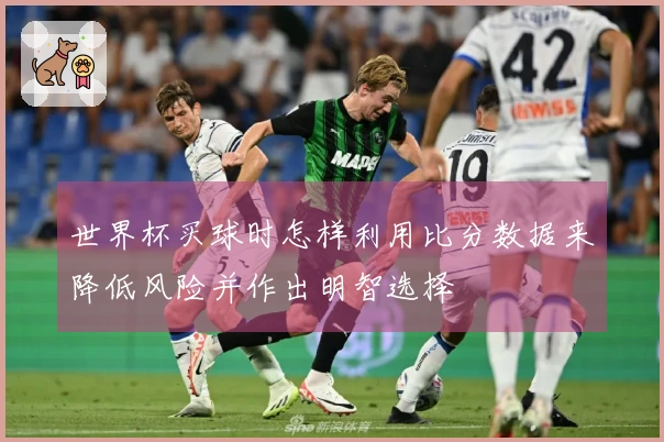 世界杯买球时怎样利用比分数据来降低风险并作出明智选择