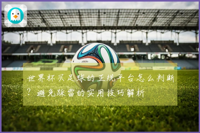 世界杯买足球的正规平台怎么判断？避免踩雷的实用技巧解析