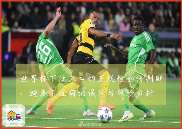 世界杯下注入口的正规性如何判断，避免下注前的误区与风险分析