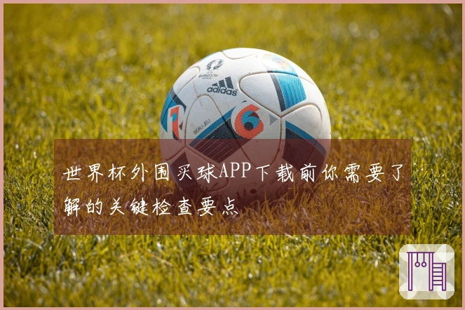 世界杯外围买球APP下载前你需要了解的关键检查要点