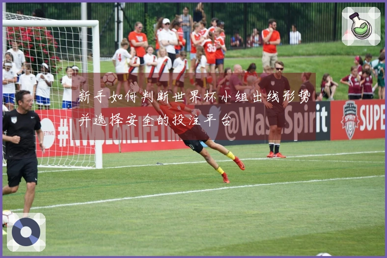 新手如何判断世界杯小组出线形势并选择安全的投注平台