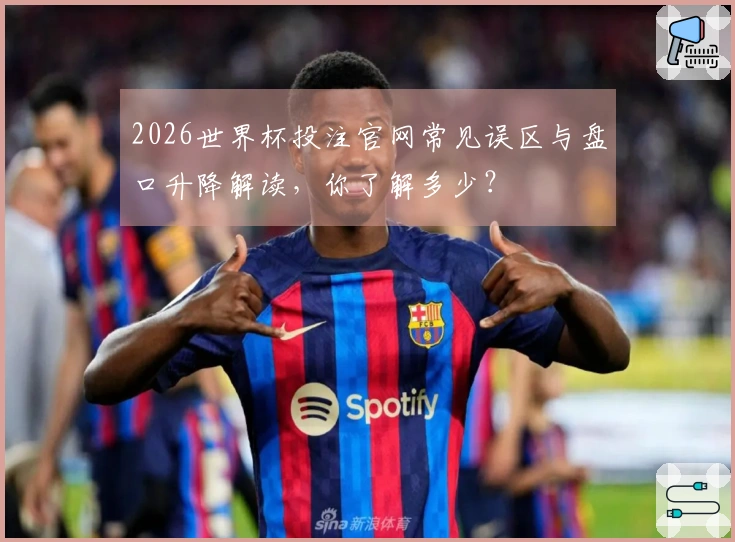 2026世界杯投注官网常见误区与盘口升降解读，你了解多少？