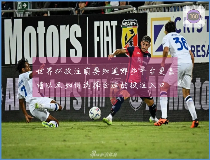 世界杯投注前要知道哪些平台更靠谱以及如何选择合适的投注入口